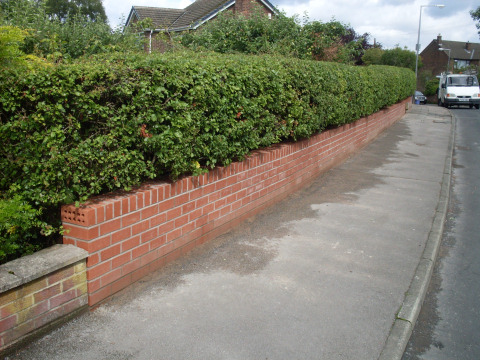 Casebook image